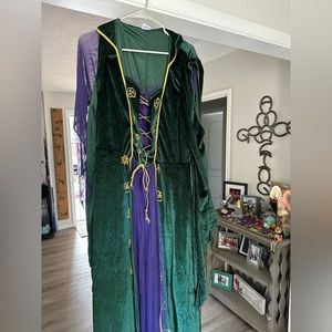Hocus Pocus - Winifred costume